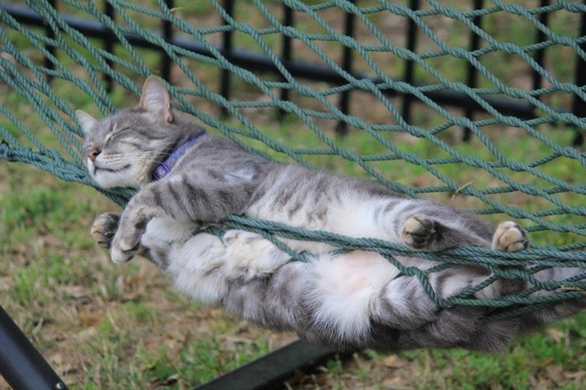 O pozitie perfecta pentru... un somn profund