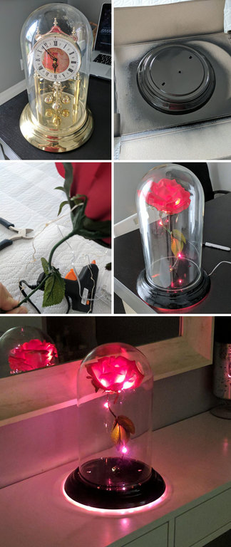 Un trandafir fermecat