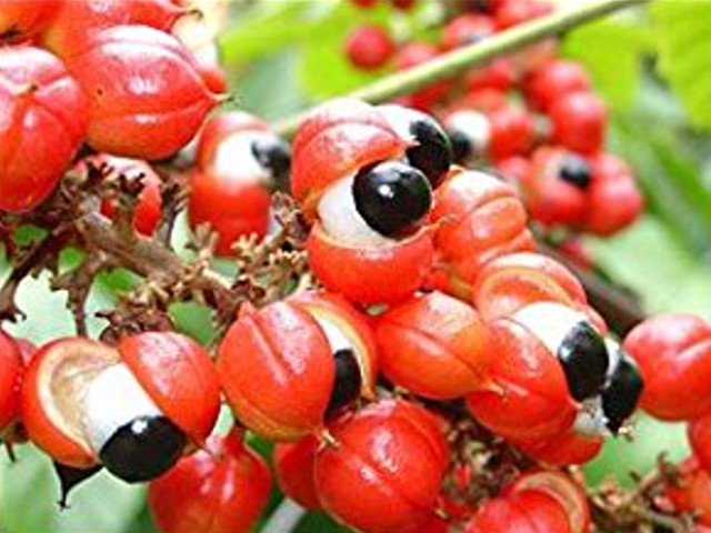 Alege ceva natural