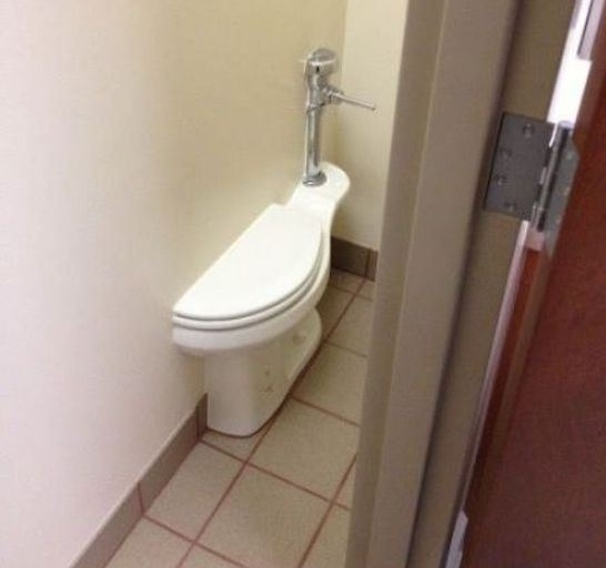 Cine ar putea folosi acest WC?