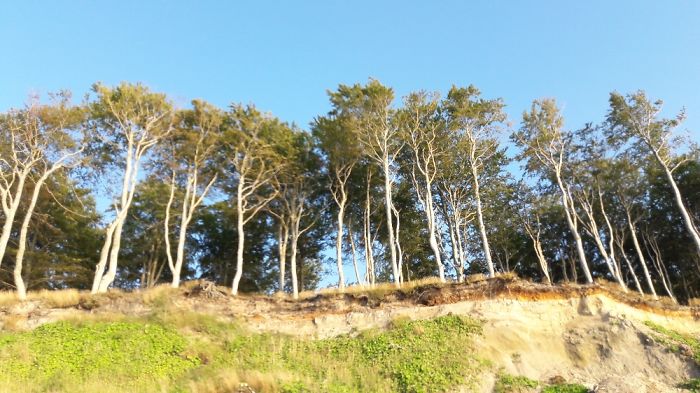 In poza ar fi trebuit sa apara o familie. Fotograful de ocazie nu a considerat ca e necesar
