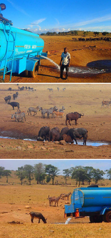 Acest barbat duce in fiecare zi apa animalelor insetate din Kenya