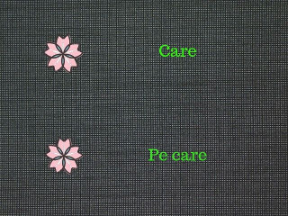 "Care" vs. "Pe care"