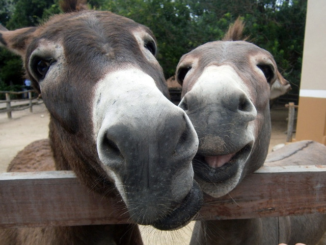 Li se citeste fericirea pe chip