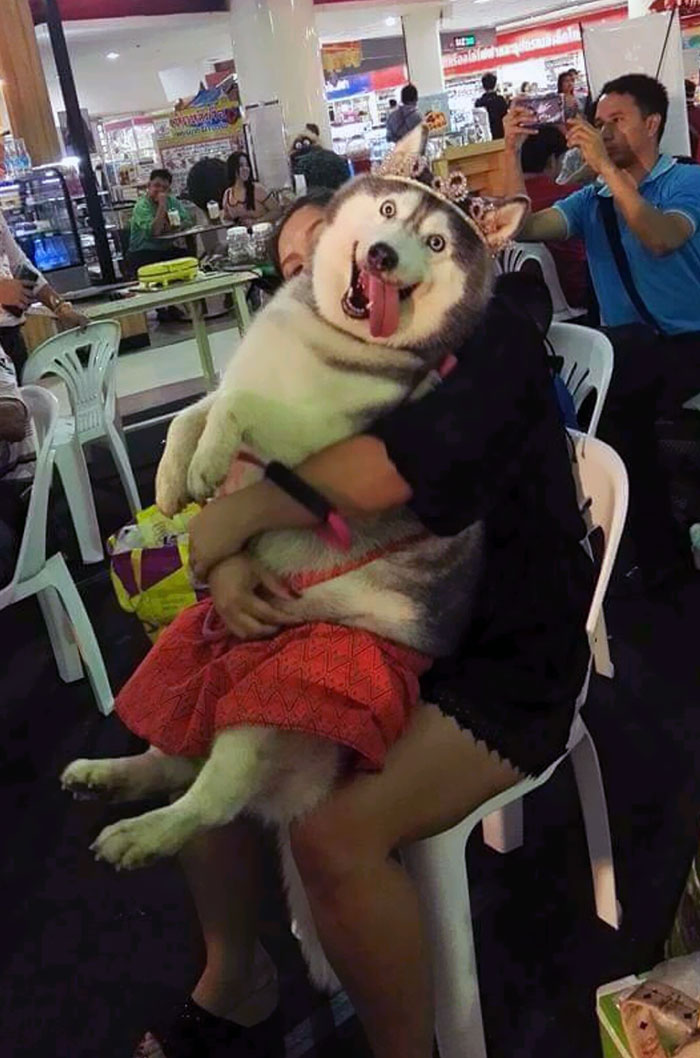 Se inveselesc repede