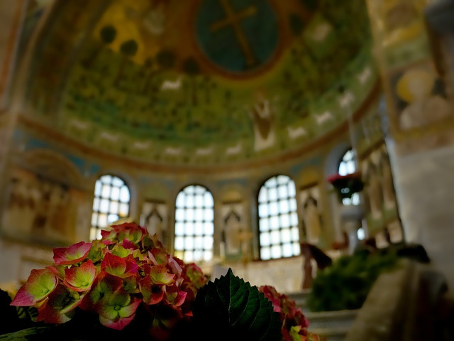 Cele mai mari trei ramuri ale Crestinismului sunt: Biserica Romano-Catolica, Biserica Ortodoxa si varietati ale Protestantismului