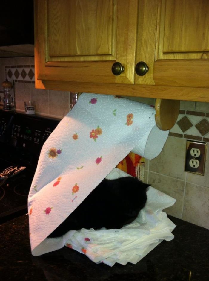 Servetelele sunt destul de confortabile