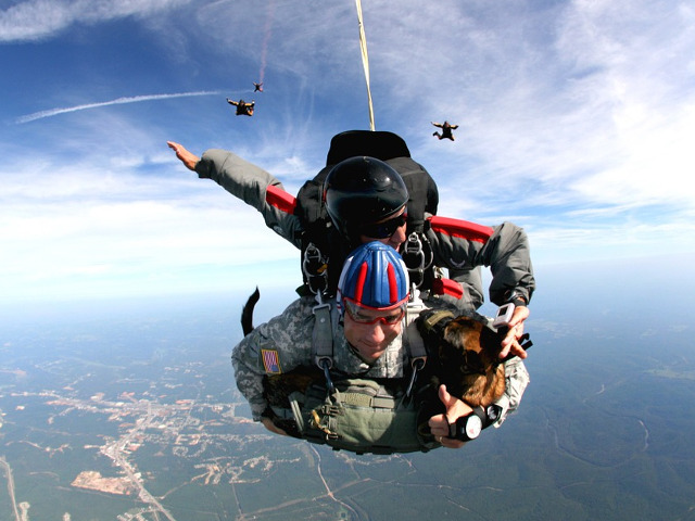 Priveste cu atentie!