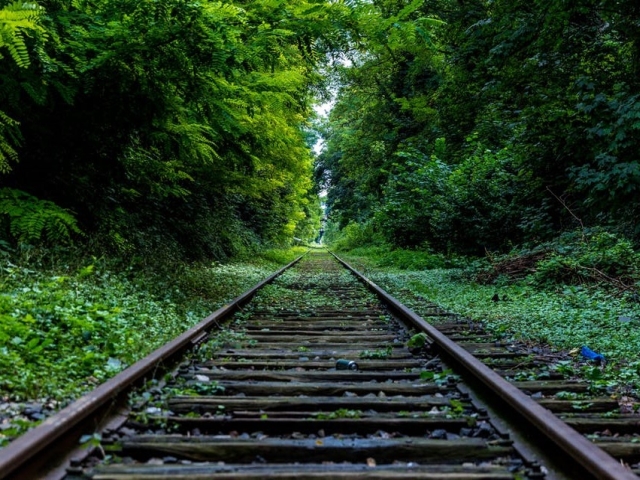 Natura, in simplitatea ei, ne ofera un spectacol in fiecare zi