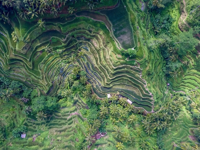 Tegallalang, Indonezia
