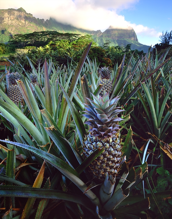 Tahiti