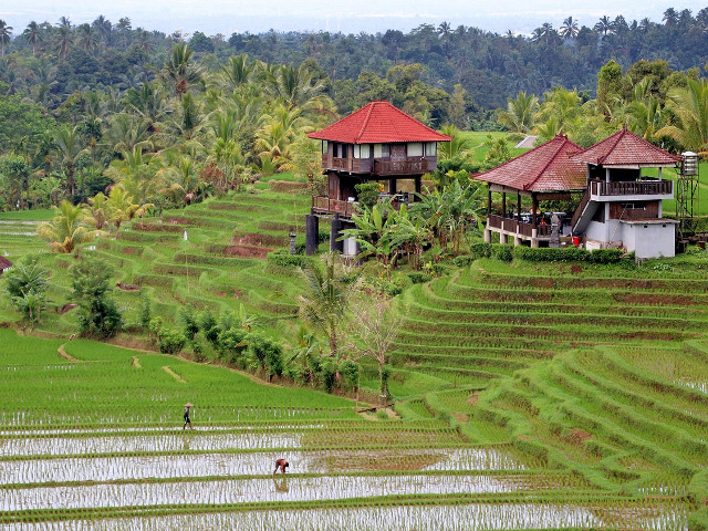 Bali