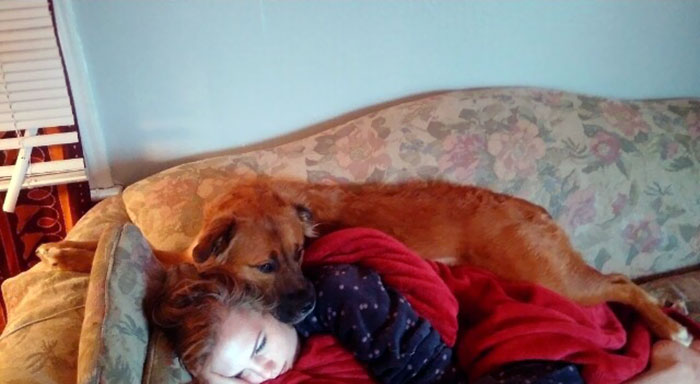 Iubirea neconditionata a cainilor, in imagini sugestive