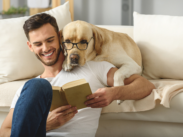 Aparent, si cainii adora sa citeasca