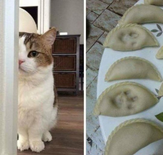 Cand stapanul nu e atent...