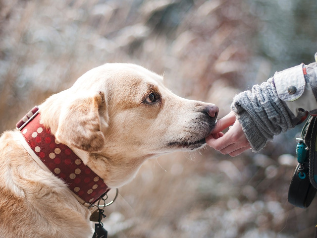 Te face mai increzator