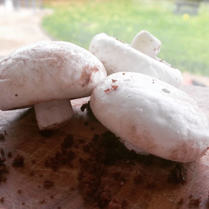 Desert in forma de ciuperci