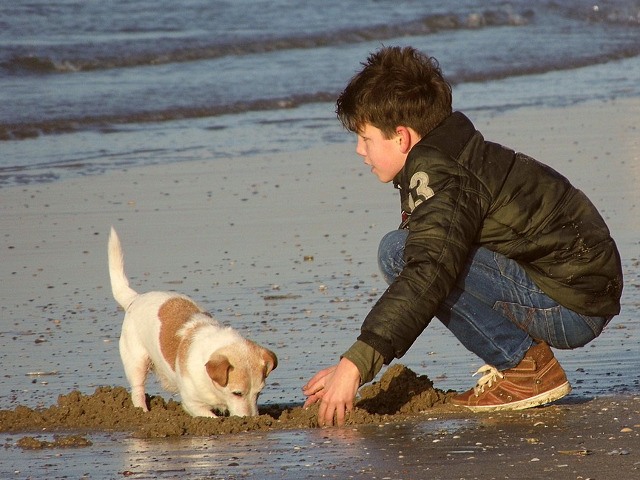 Mereu in cautare de ceva nou