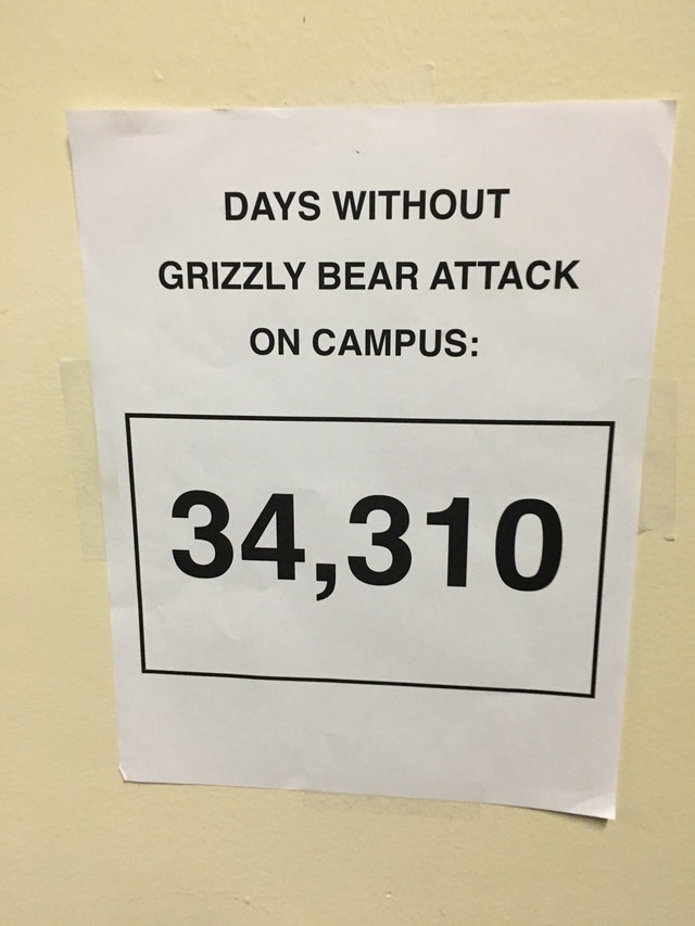 Un afis interesant: Fara atacuri ale ursilor Grizzly in campus