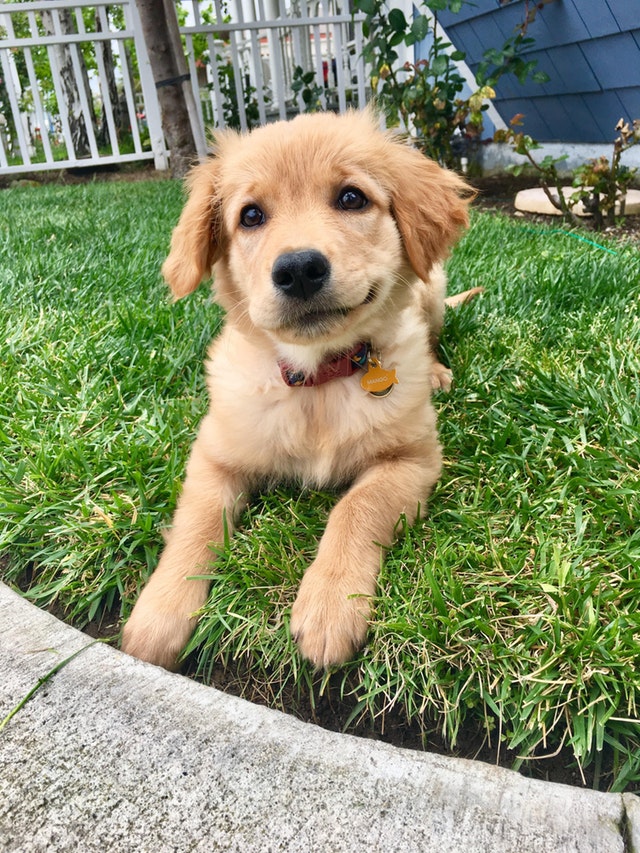 Te cucereste cu privirea