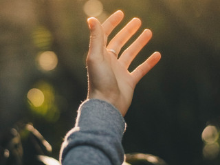 Tulburari tiroidiene