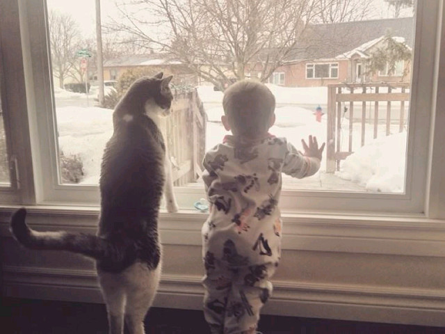 Mereu alaturi de cel mic...