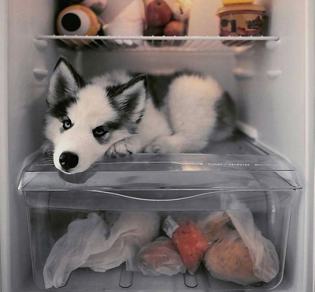 Un alt mod de a te racori