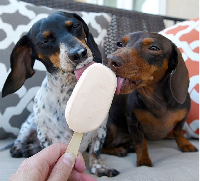 Cat mai multa inghetata