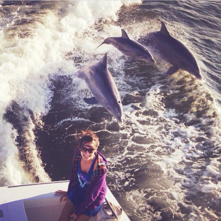Intalnire cu delfinii