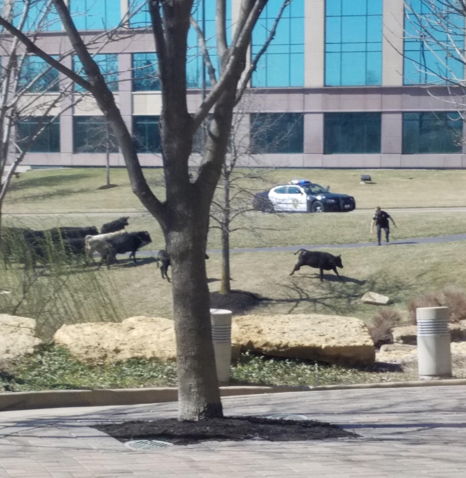 Dn nou, autoritatile isi fac treaba