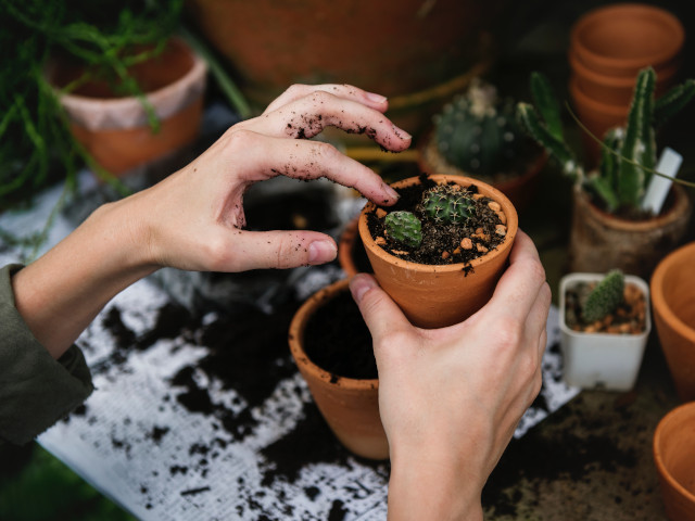 Ocupa-te de gradinarit