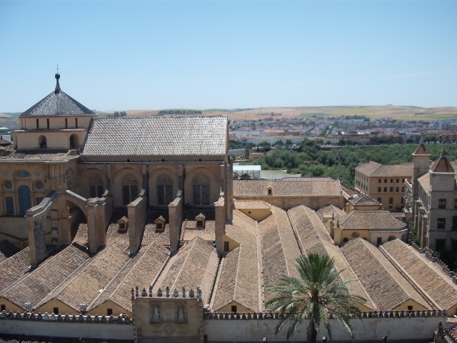 Concluzii + alte fotografii