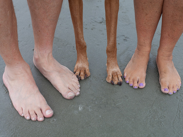 Fotografie de vacanta