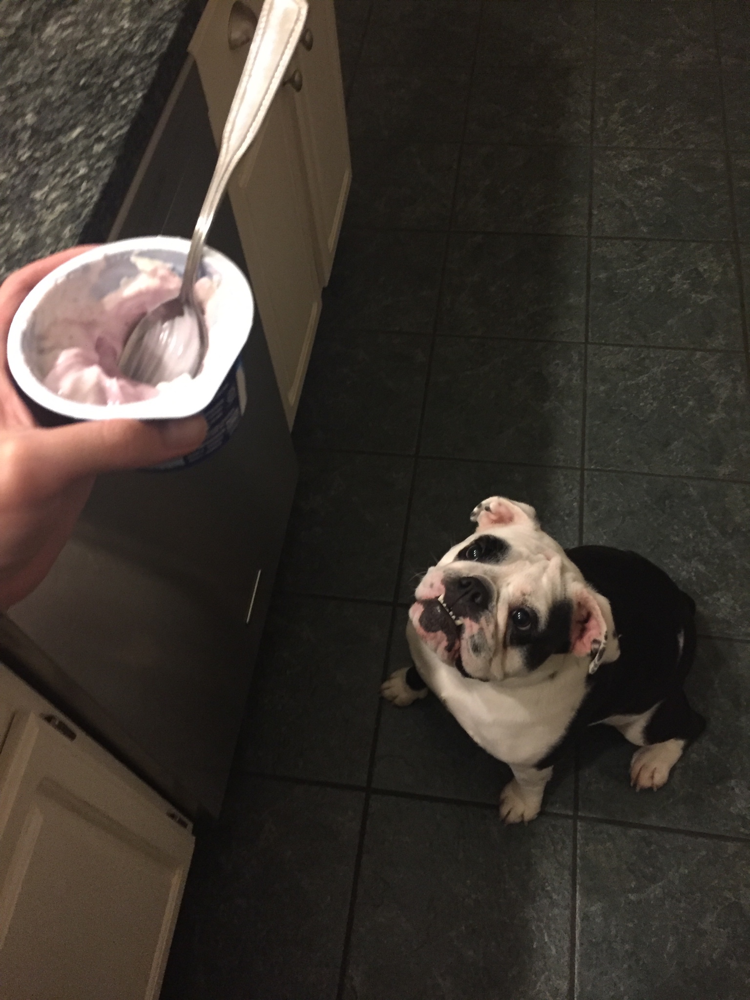 Privirea lui spune tot