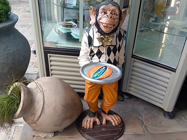 Priveste cu atentie!