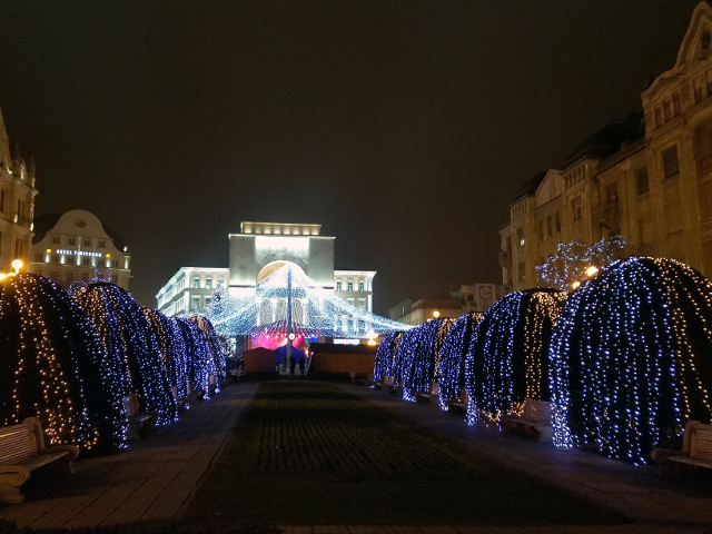 Timisoara