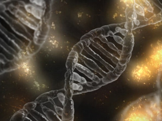 Acid dezoxiribonucleic