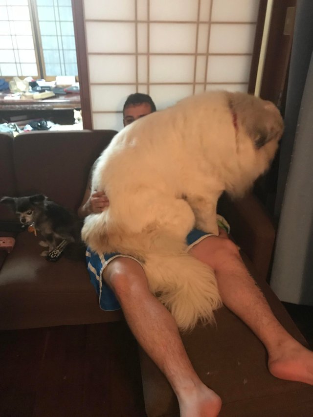 Diferenta se vede cu ochiul liber