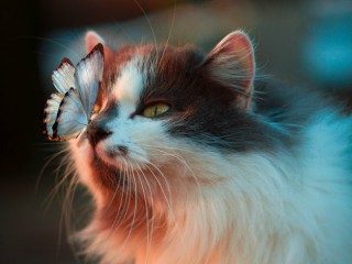 O sa apreciez micile bucurii