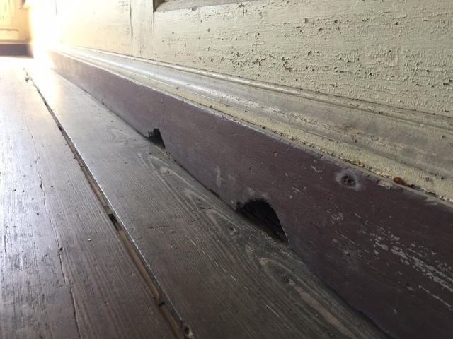 Gauri, desprinse parca din "Tom si Jerry"