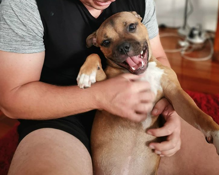 Asa arata fericirea!