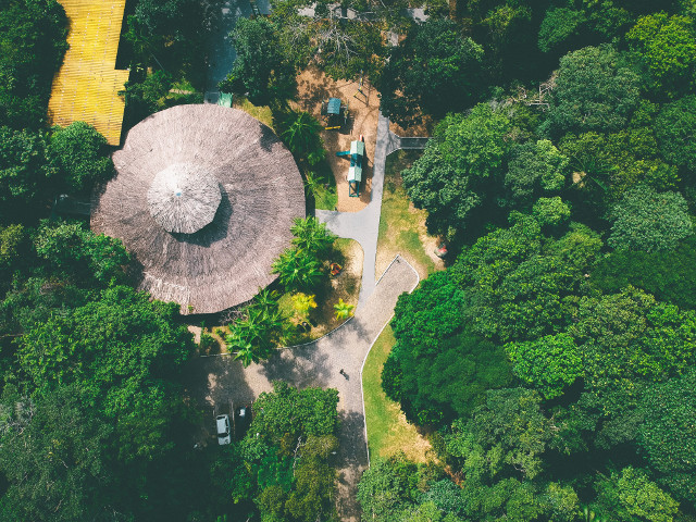Parcul Mindu din Manaus, Brazilia