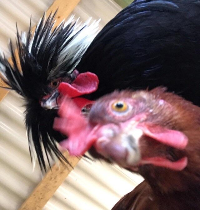 Cateva ore mai tarziu cand si-a gasit telefonul, a avut parte de aceasta surpriza