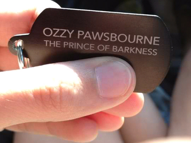 O femeie si-a lasat sotul sa ii puna numele catelusului, "printul latratului"