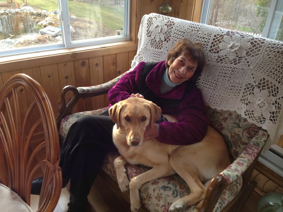 Cand animalul tau de companie si un loc calduros iti sunt de ajuns pentru a zambi