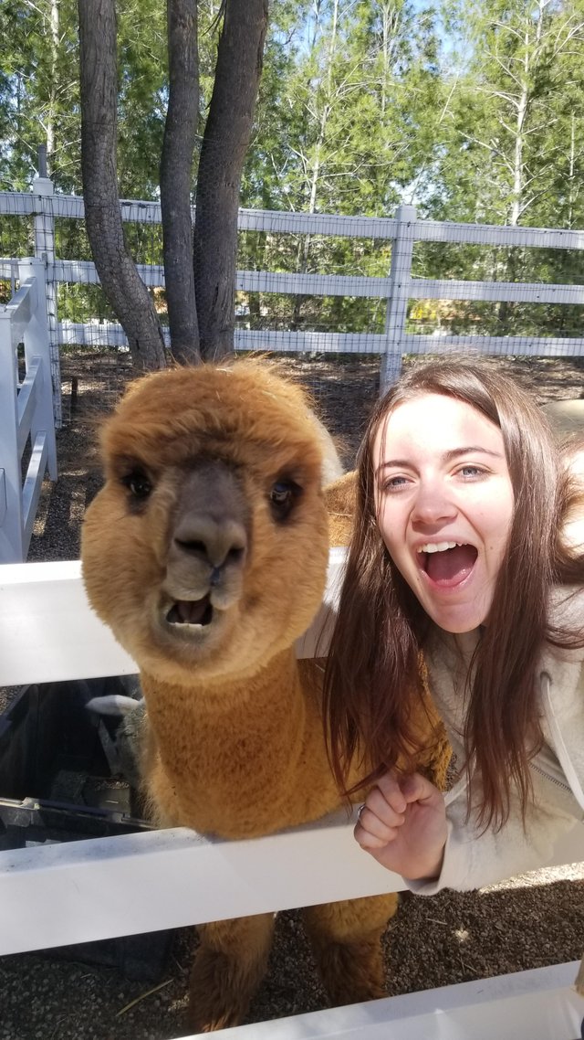 Cele mai bune prietene