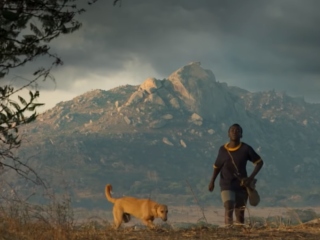 The Boy Who Harnessed the Wind