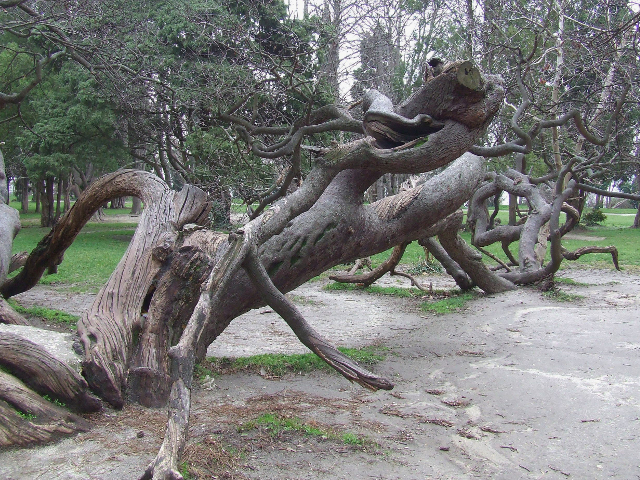 Descoperire spectaculoasa, Varna, Bulgaria