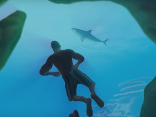 Cum sa supravietuiesti atacurilor unui rechin