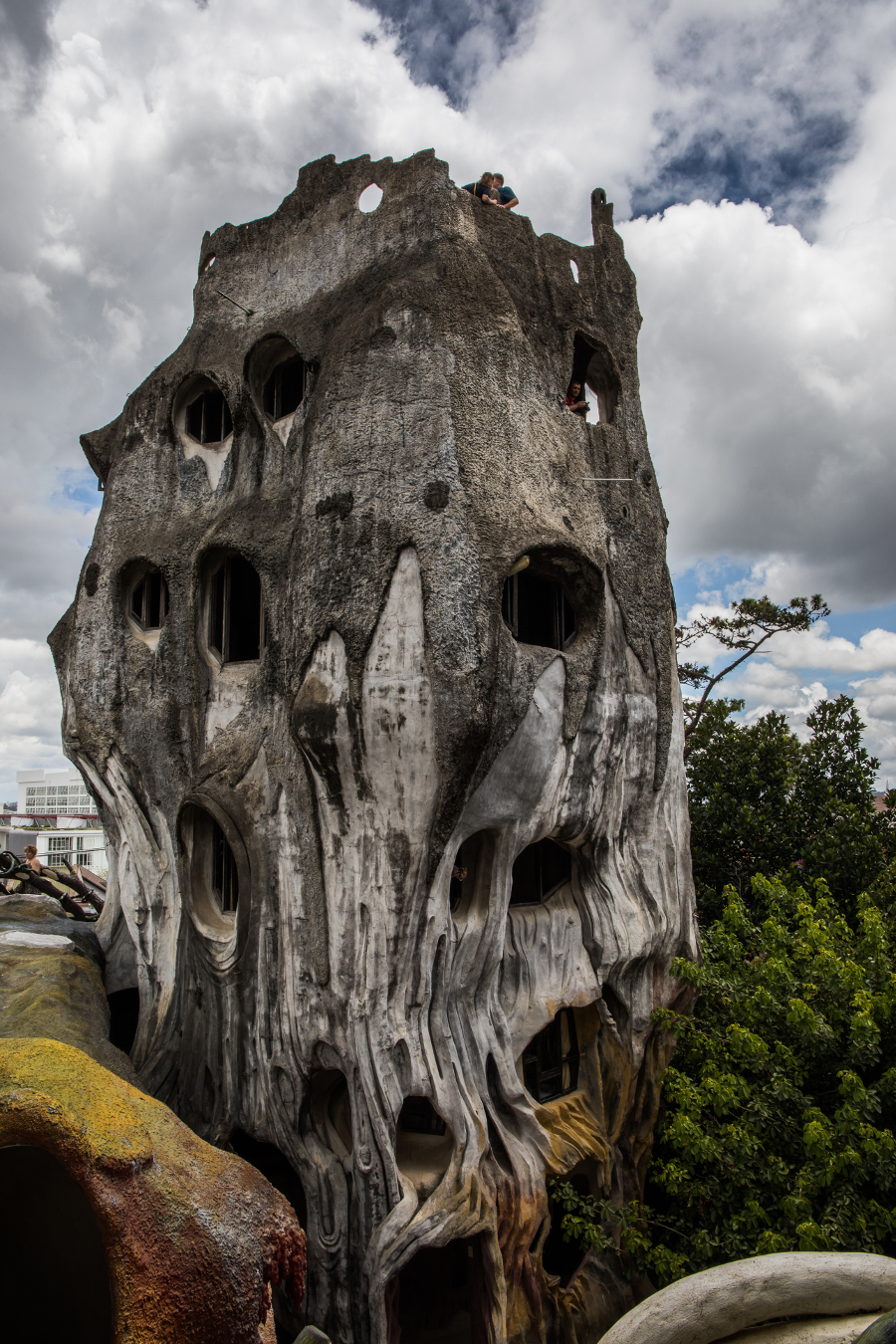 Trunchi de copac urias